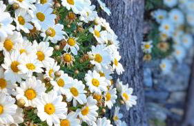 Dependance Belvedere - Foto 50