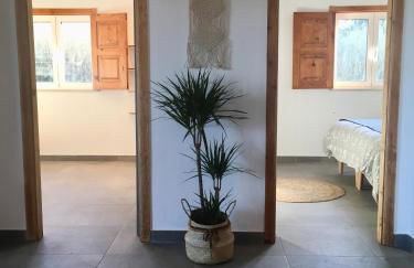 Bico das flores - Foto 55