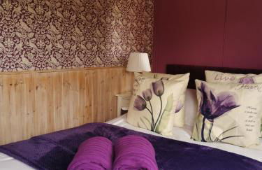 Shepherd's Hut at Cefn Tilla Court - Foto 7