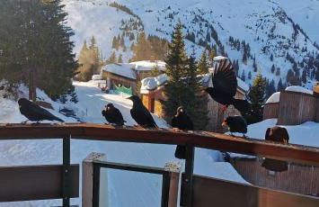 Cozy snowflakes - Photo 10