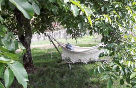 Charming House in Covelas with Pool and Mountain View - Foto 39