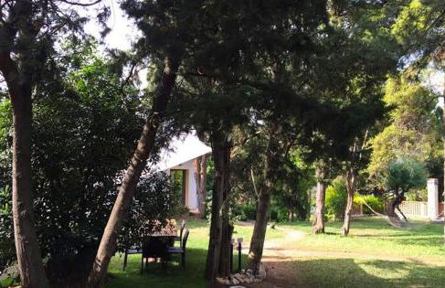 VILLA AUREA with private pool and park - Photo 38