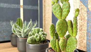 Simposio - Luxury Apartment Rome - Foto 5