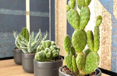 Simposio - Luxury Apartment Rome - Foto 5