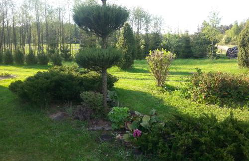 Wiejska Chata - Foto 40