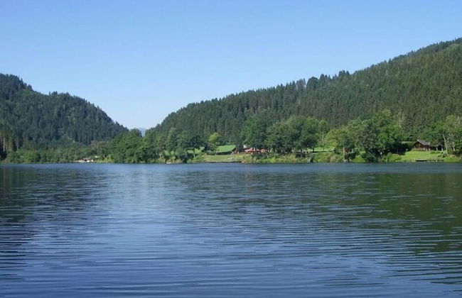 Andi's Berghutte Comfortable Holiday Residence - Foto 13