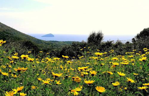 Agriturismo Glamping Erbe Matte - Foto 11