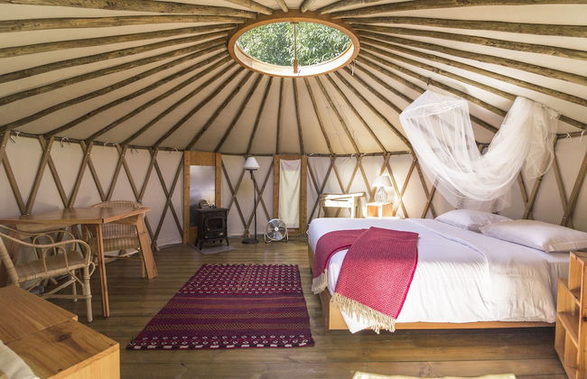 Azul Singular - Foto 4