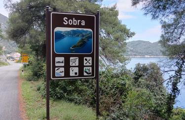 Studio apartment Dragana - Foto 15