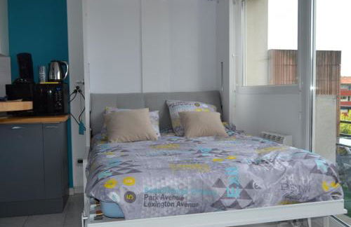 Le petit studieux - Parking - Animaux acceptés - Centre ville accessible à pied - Foto 19