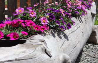 Schneiderhof - Foto 22