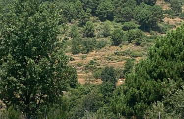 Casa Real - Photo 11