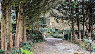 Ramble & Rye - The Nest - Foto 3