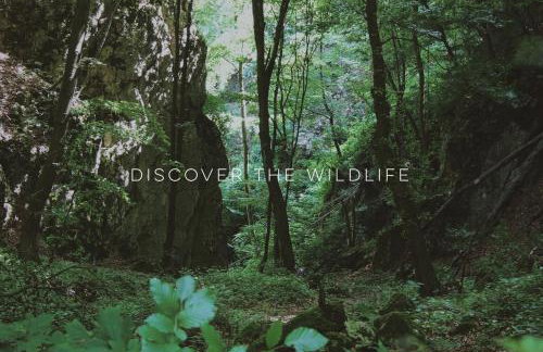 Pradnik Valley Lodge - Foto 34