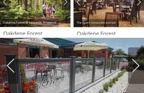 Pinto Holiday Home Oakdene Forest Park Passes Inc! - Foto 27