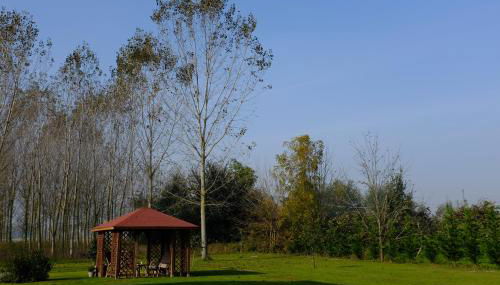 Corte Stellata Holiday Apartments - Photo 5, Garden