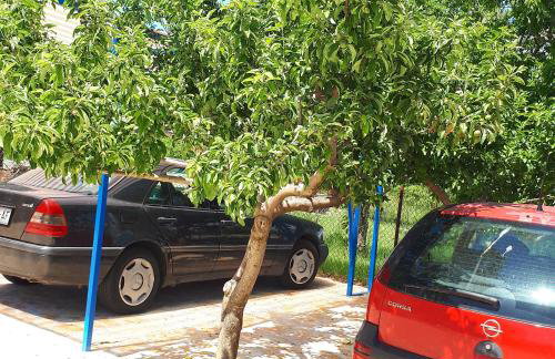 Apartment Tea - Photo 4