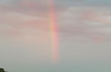 La casetta dei 4 gatti - Foto 20