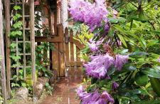 Domek pod Sosnami nad jeziorem GIM - Foto 22