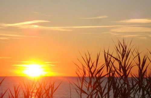 Gutspark Seeblick - Foto 32