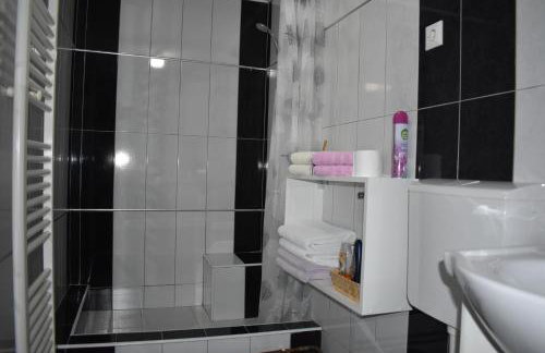 Apartman Rukavina - Foto 15