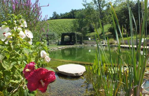 Corte D'Aibo - Photo 72