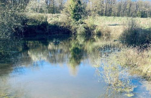 Gîte de luxe avec piscine chauffée et SPA au cœur du Val de Loire - FR-1-381-615 - Foto 34