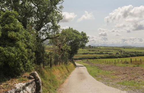 Bwthyn Derwin Fawr - Photo 30