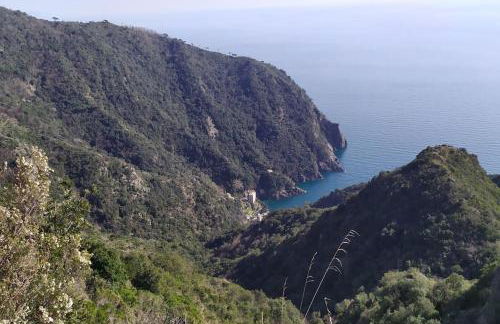 Casa al Mare a Recco - Foto 19