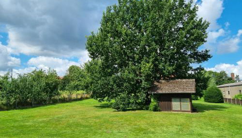 Ferienhaus Eggetal - Foto 3, Garden