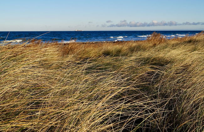 Strandleben Fehmarn - Ferienwohnung Ost - Foto 9