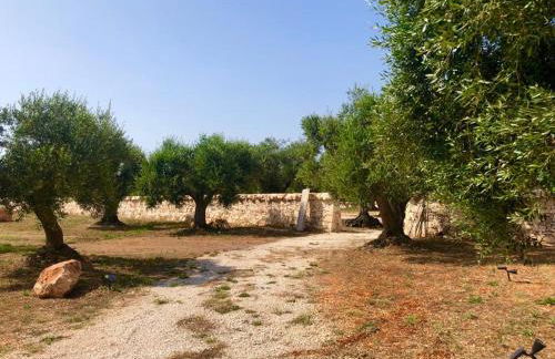 DIMORA DONNA CARMELA - Foto 25