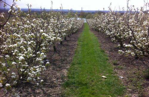 1 Bed in Maidstone oc-md435 - Foto 13