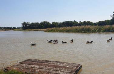 Home Farm Park - Foto 30