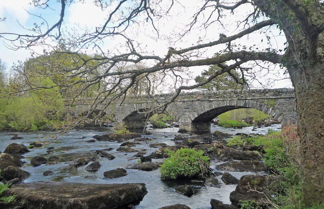 Shannons Gate Holiday Home Killorglin - Foto 13