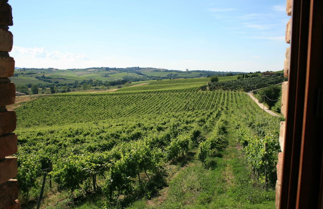 Tenuta di Monaciano - Foto 42