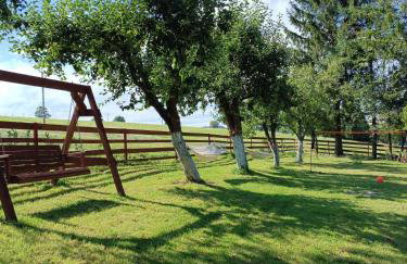 Skała i Las - Foto 2