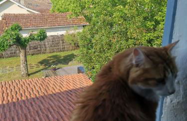 Maison du bonheur - Photo 25