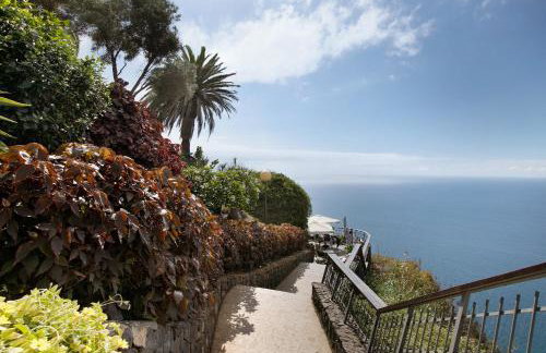 Linaje del Pago Listán Negro - Foto 22