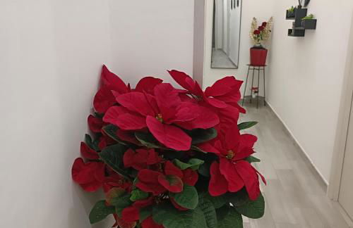 Sogni di Stelle - Photo 32