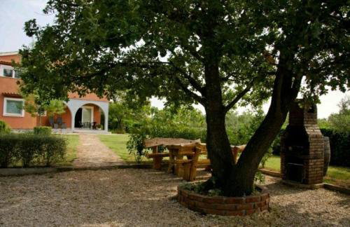 Apartman Perci Vrh - Foto 28