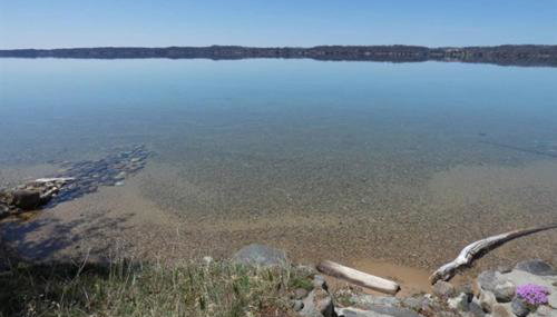 South Cottage on Torch Lake - Foto 4