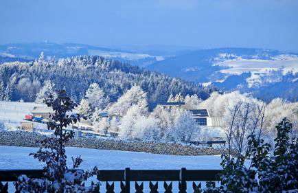 Ferienhaus VILLA ZAUBERBLICK am Rennsteig Frankenwald FREISTEHEND naturnah HUNDEFREUNDLICH eingezäunt - Foto 21
