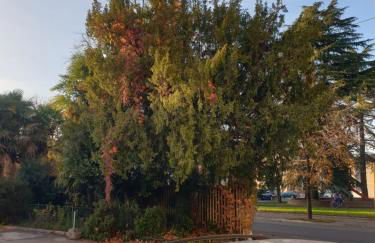 Da zia Fabri - Foto 2