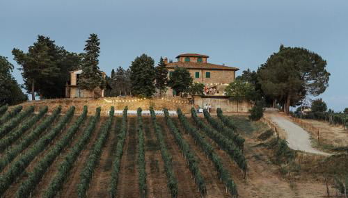 Perelli Winery - Foto 2, Garden