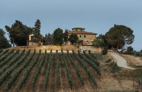 Perelli Winery - Foto 2