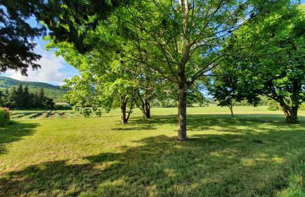 La Magnanerie - Foto 20