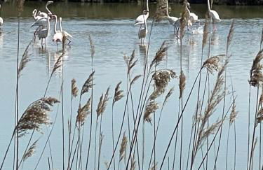 Studio vue port, belle terrasse, piscine - Foto 17