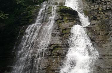 Woodland Hideaway - Foto 38