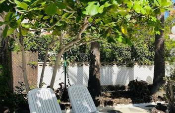 Calima house - Foto 32